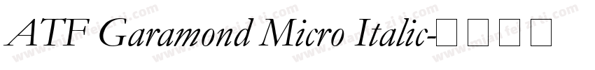 ATF Garamond Micro Italic字体转换